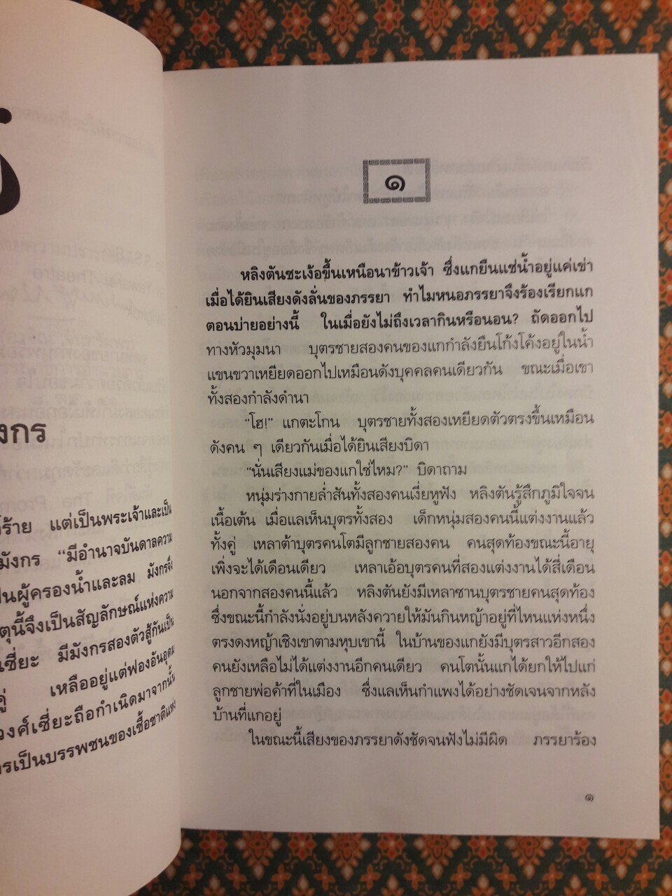 พันธุ์มังกร Dragon Seed