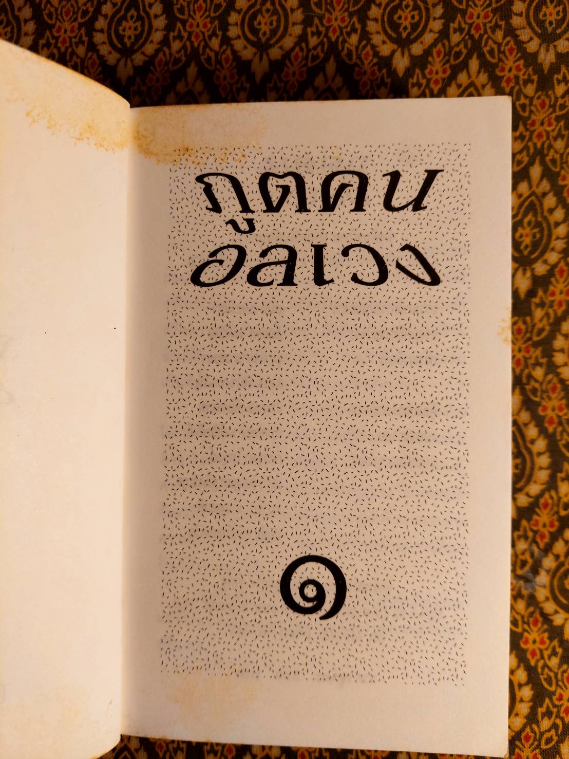 ภูตคนอลเวง (2 เล่มจบ)