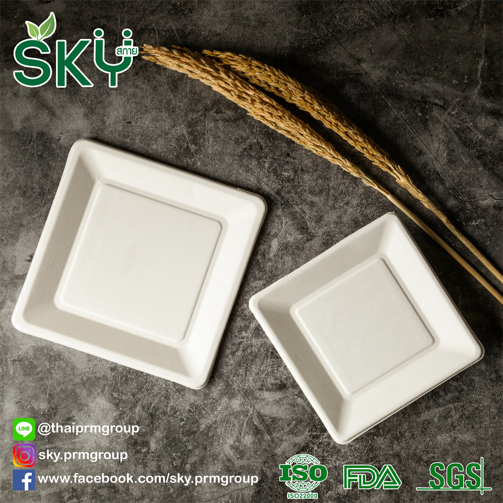 [ยกลัง250 ชุด] SKY จานอาหารชานอ้อยทรงสี่เหลี่ยมจตุรัส รุ่น RP