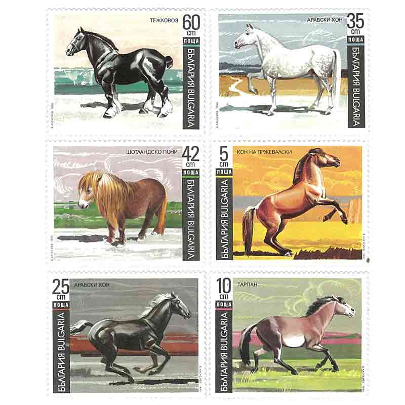 Bulgaria Stamp, Horse, Wildlife, Animals