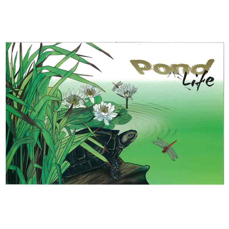Singapore Stamp, 2011 Pond Life Collector's Sheet in Pack