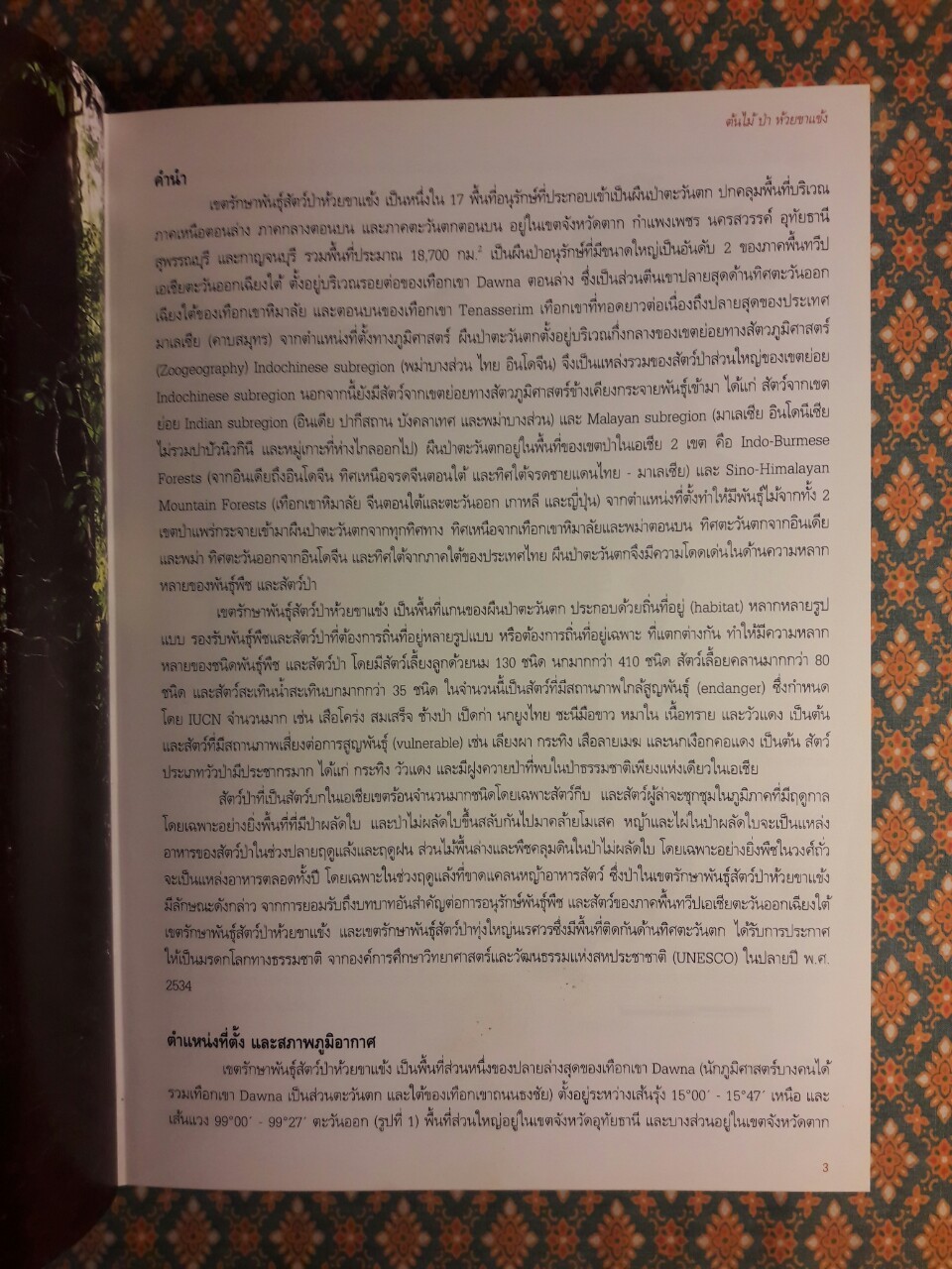 ต้นไม้ ป่า ห้วยขาแข้ง