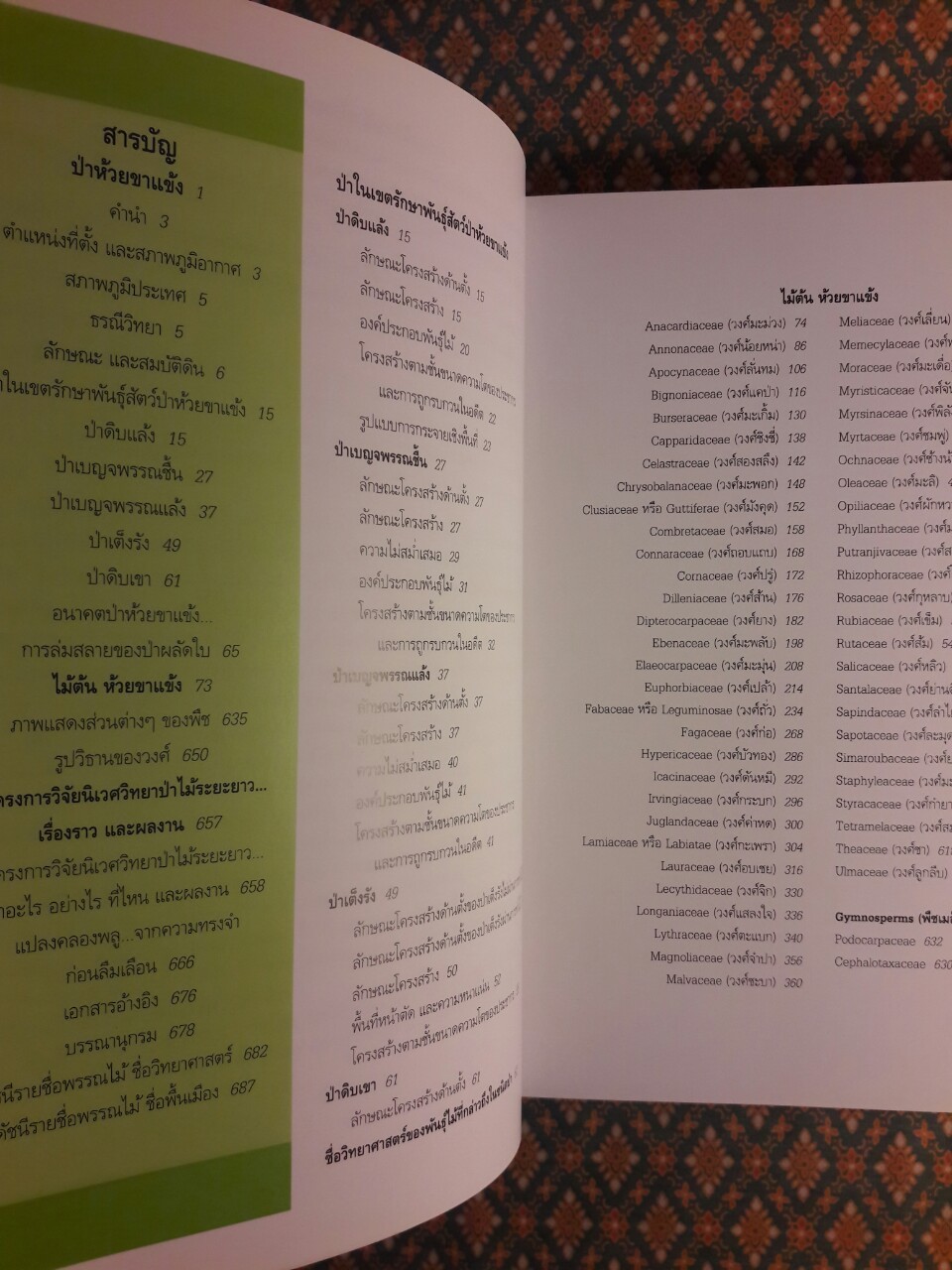 ต้นไม้ ป่า ห้วยขาแข้ง