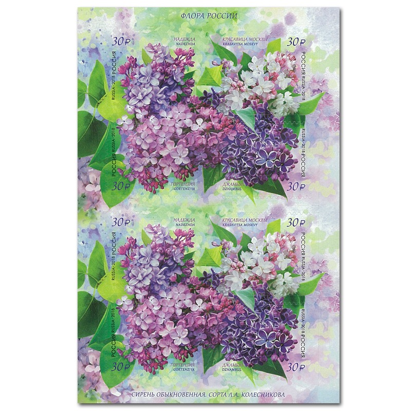 Russia Stamp, 2018 Flora of Russia S/S