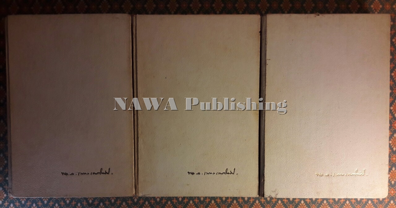 ชีวิตนายพล, งานใต้ดินของพันเอกโยธี (3 เล่ม/ชุด)