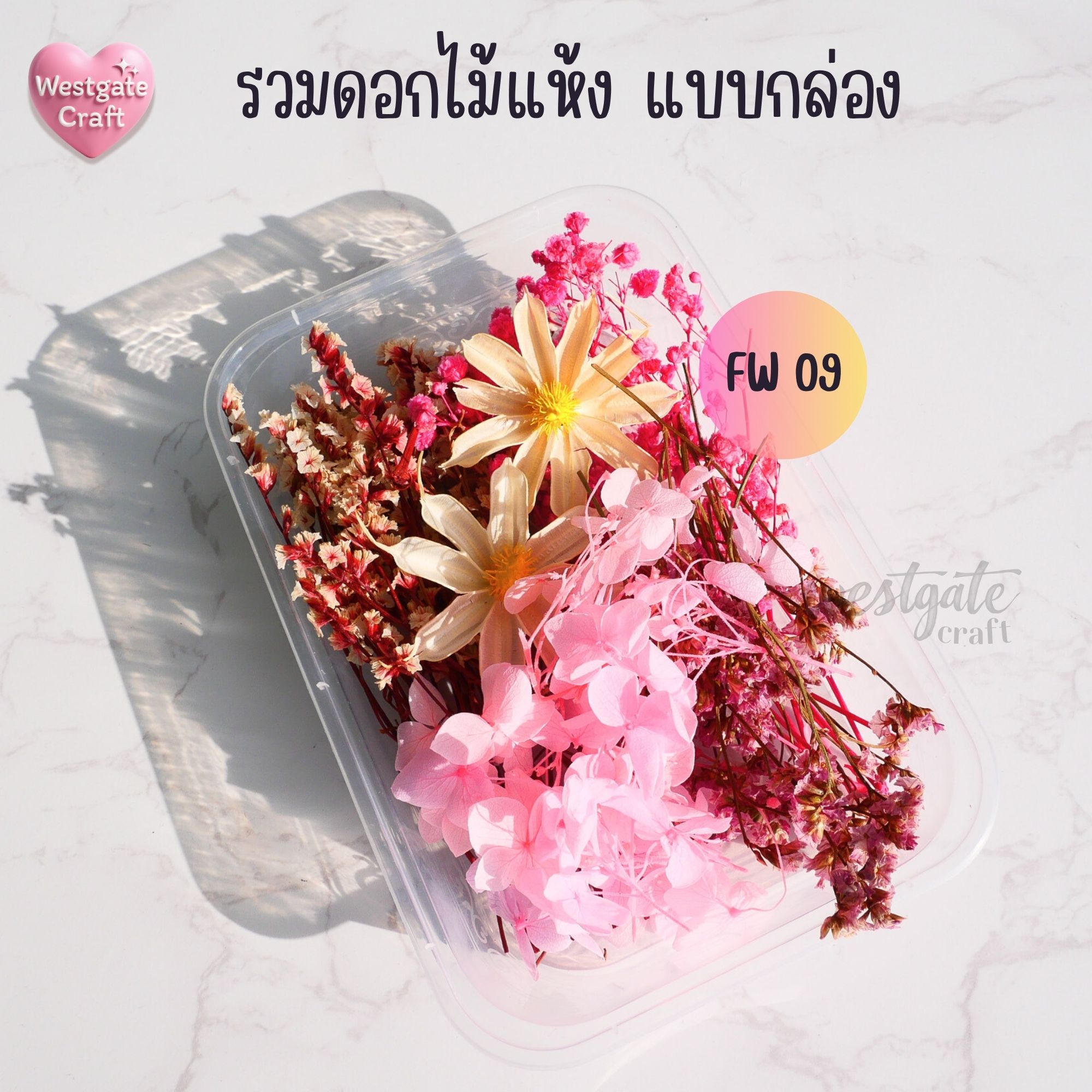 รวมดอกไม้แห้ง แบบกล่อง คละขนาด FW 01-09 , ดอกไม้แห้งจริง