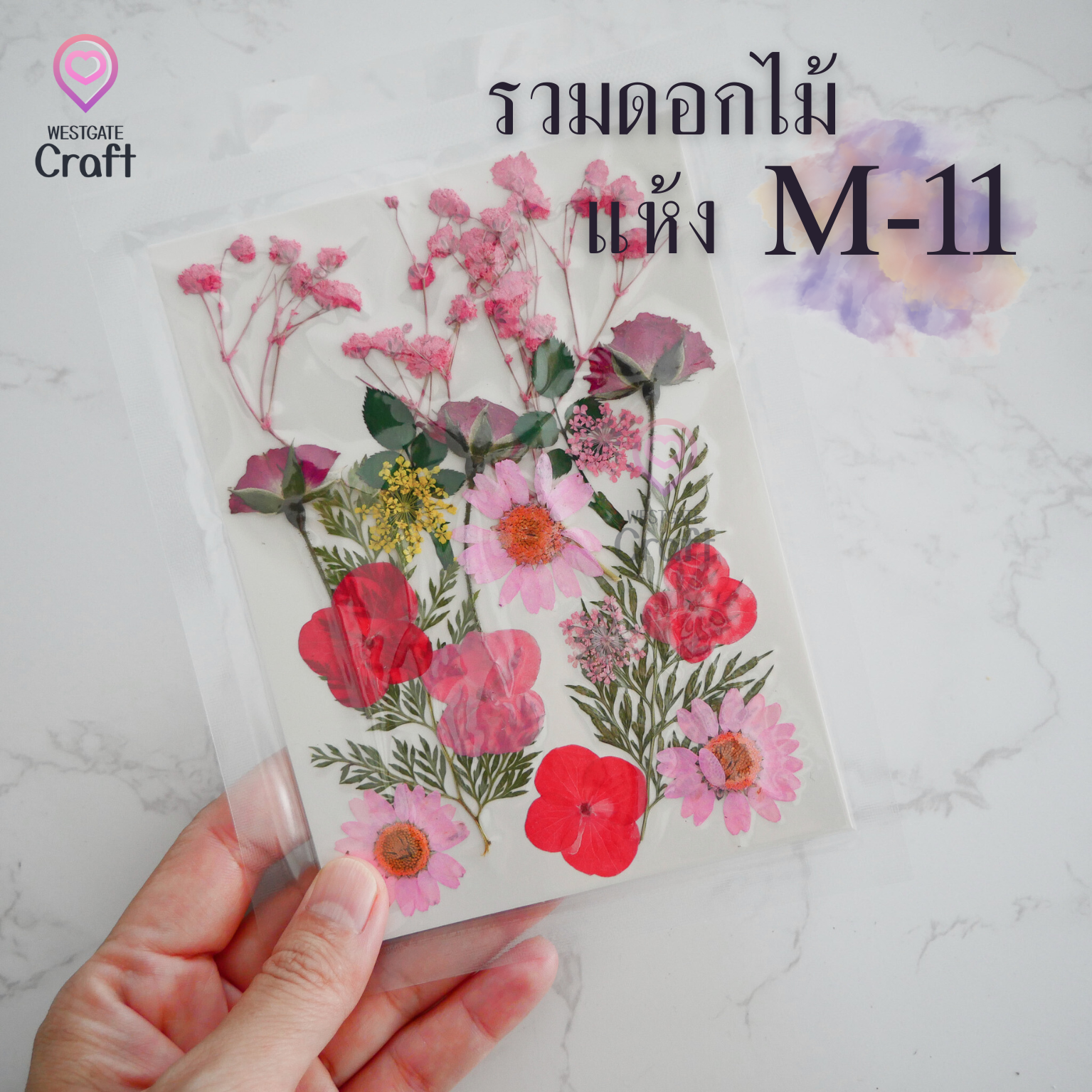 รวมดอกไม้แห้ง M ดอกไม้แห้งทับ ดอกไม้แบบคละ