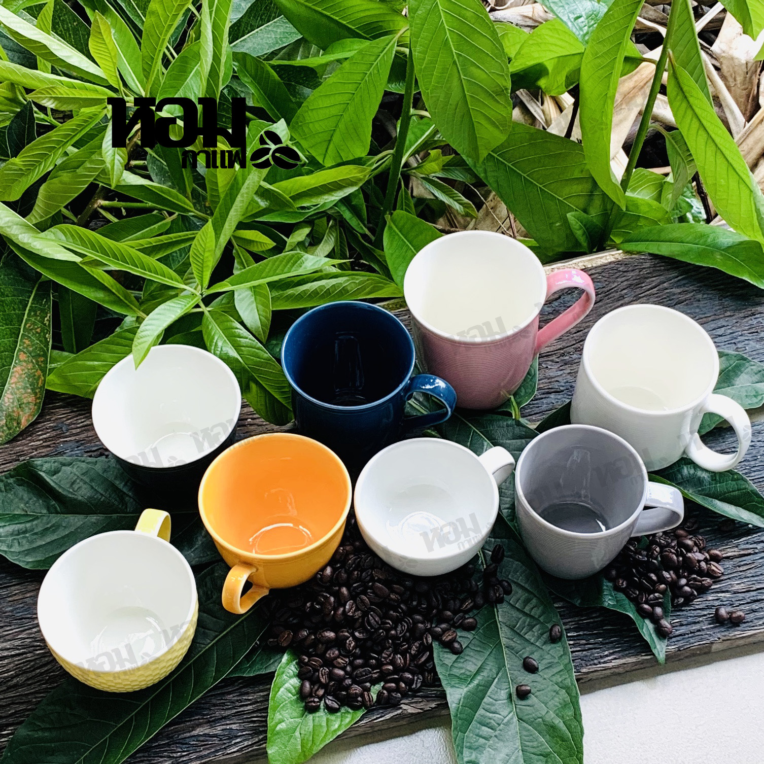 49 บาท แก้วกาแฟ แก้วเซรามิค แก้วกาแฟเอสเพรสโซ่ แก้วบาริสต้า แก้วลาเต้ หลายขนาดให้เลือก เก็บเงินปลายทางได้