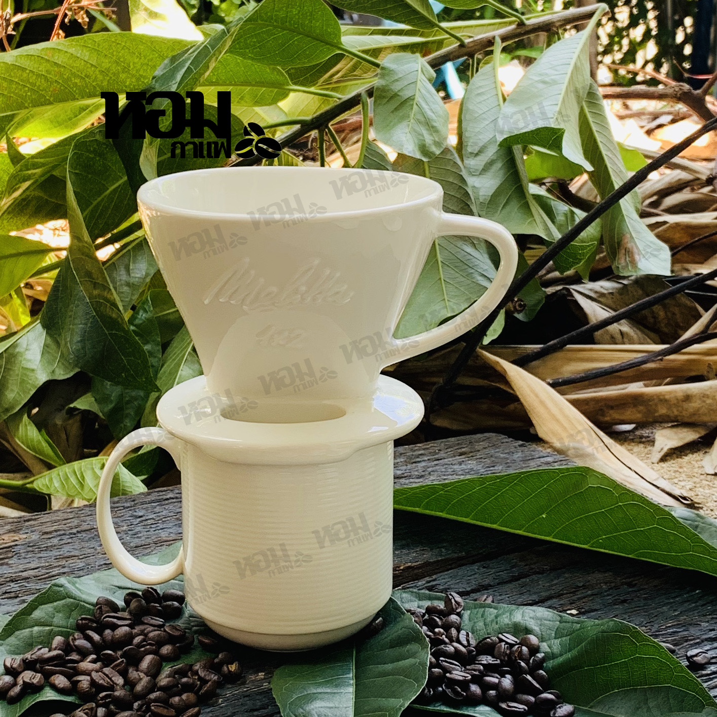 แก้วดริปกาแฟ เซรามิค ดริปเปอร์ Coffee Dripper (ไม่รวมแก้วกาแฟ) เก็บเงินปลายทางได้