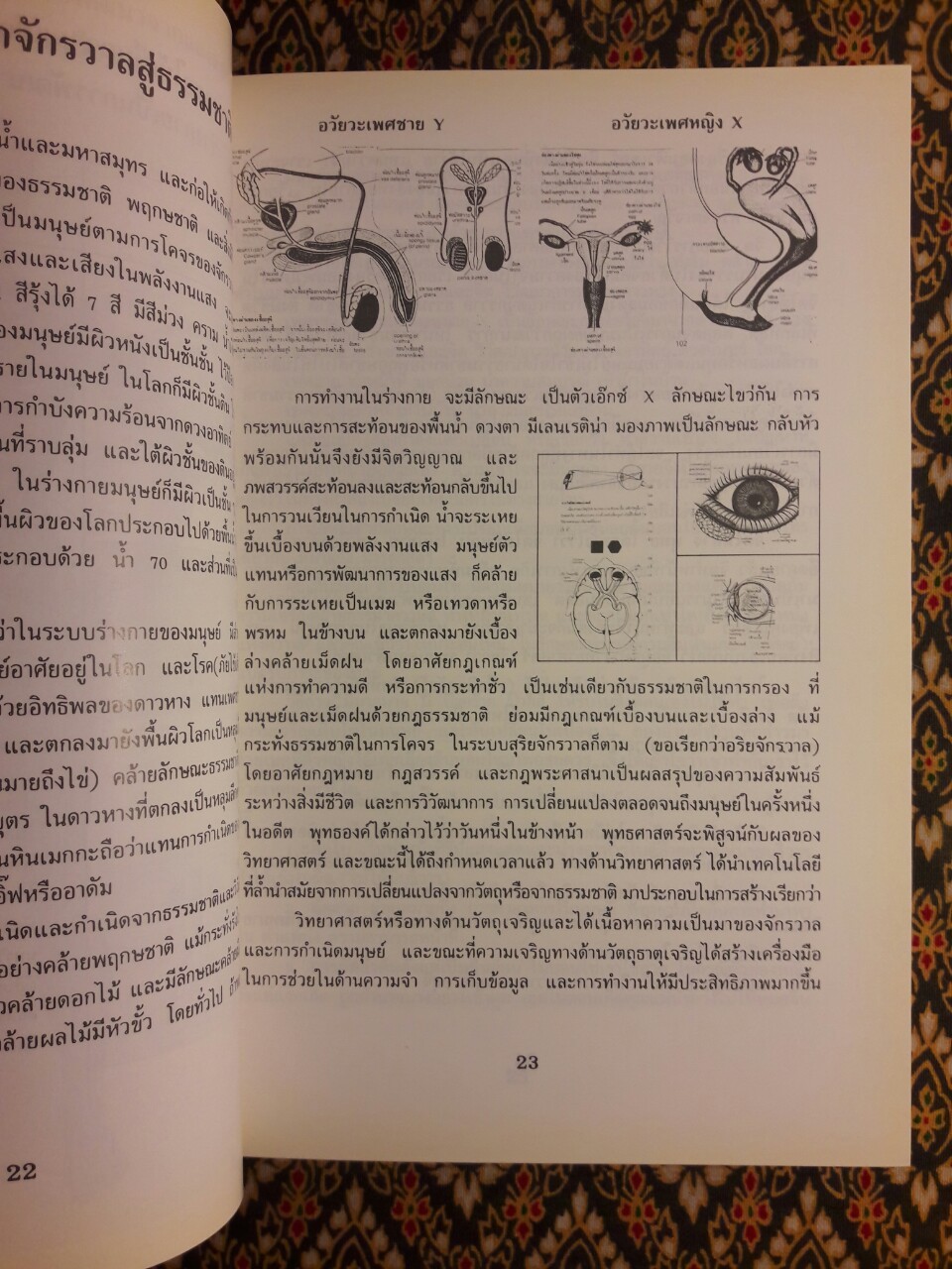 พระแม่เจ้าจามะเทวี