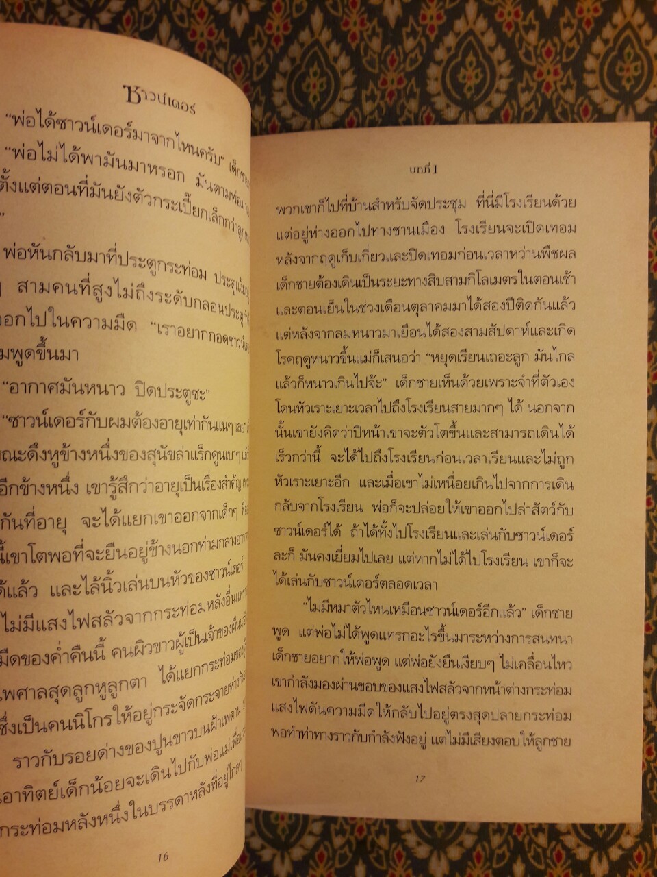 ซาวน์เดอร์ เพื่อนแท้ยามยาก Sounder