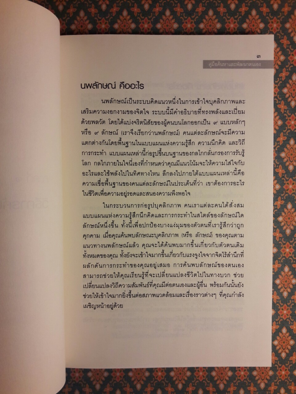 แก่นนพลักษณ์ คู่มือค้นหาและพัฒนาตนเอง
