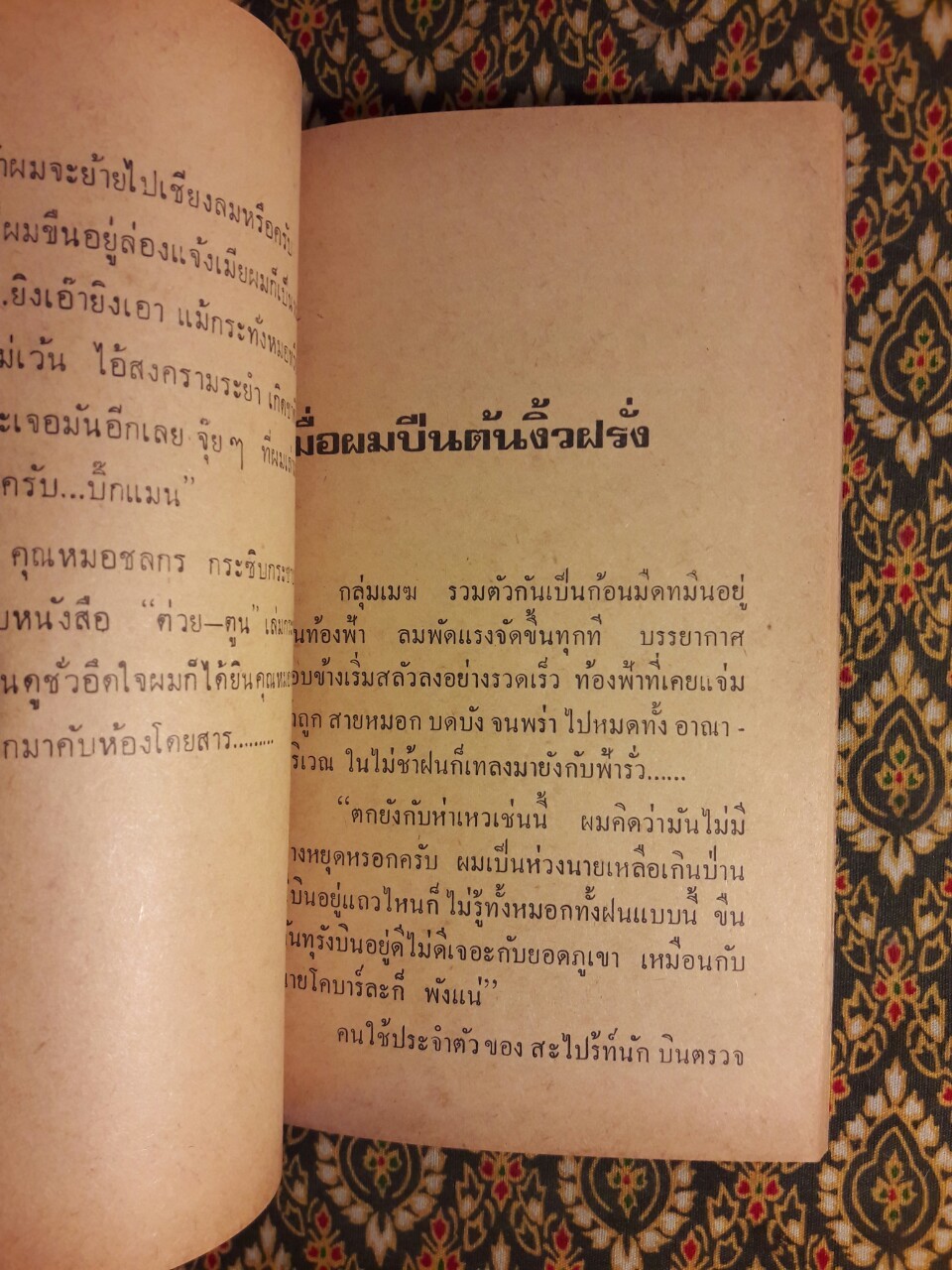 ทหารรับจ้างเดนตาย