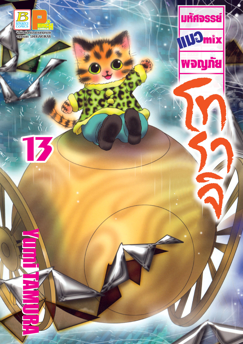 หนังสือการ์ตูนเรื่อง มหัศจรรย์แมว mix ผจญภัย โทราจิ เล่ม 13