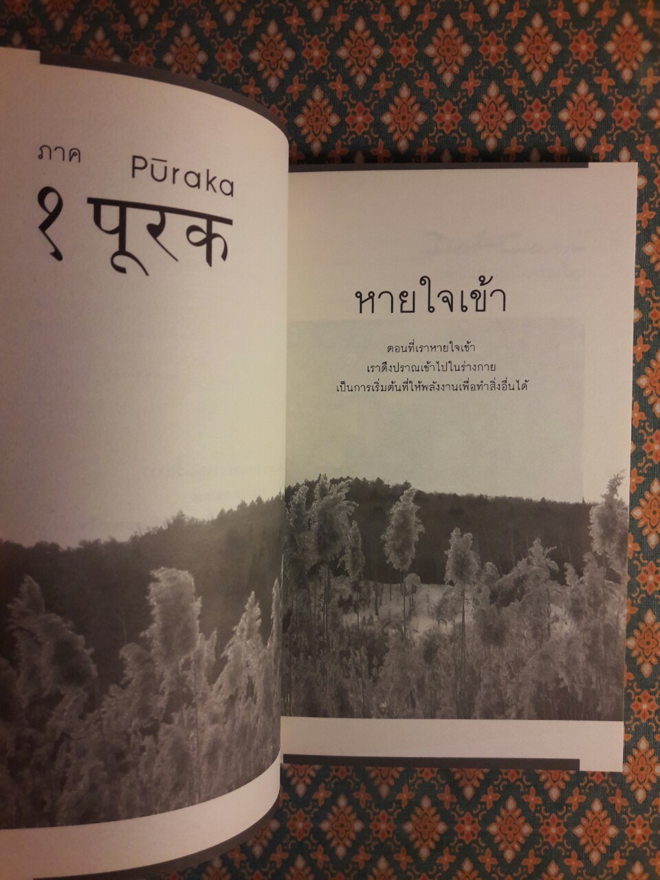 Yogi Boy ผู้ชายที่เคยหายใจไม่เป็น