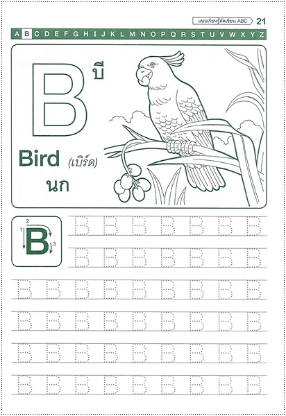 แบบเรียนรู้คัดเขียน ABC