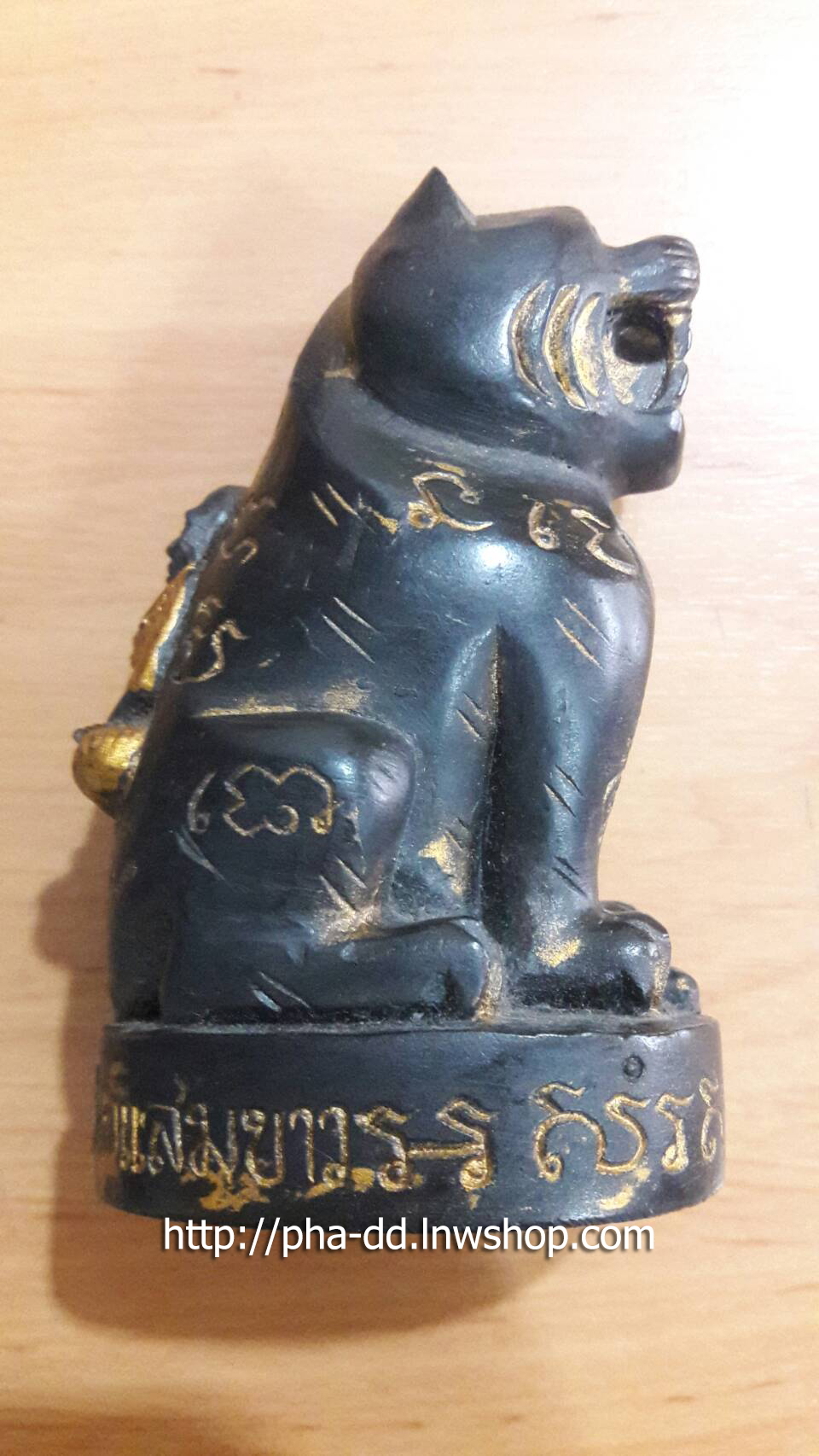 เสือหลวงปู่ปาน วัดแสมขาว จ.ฉะเชิงเทรา