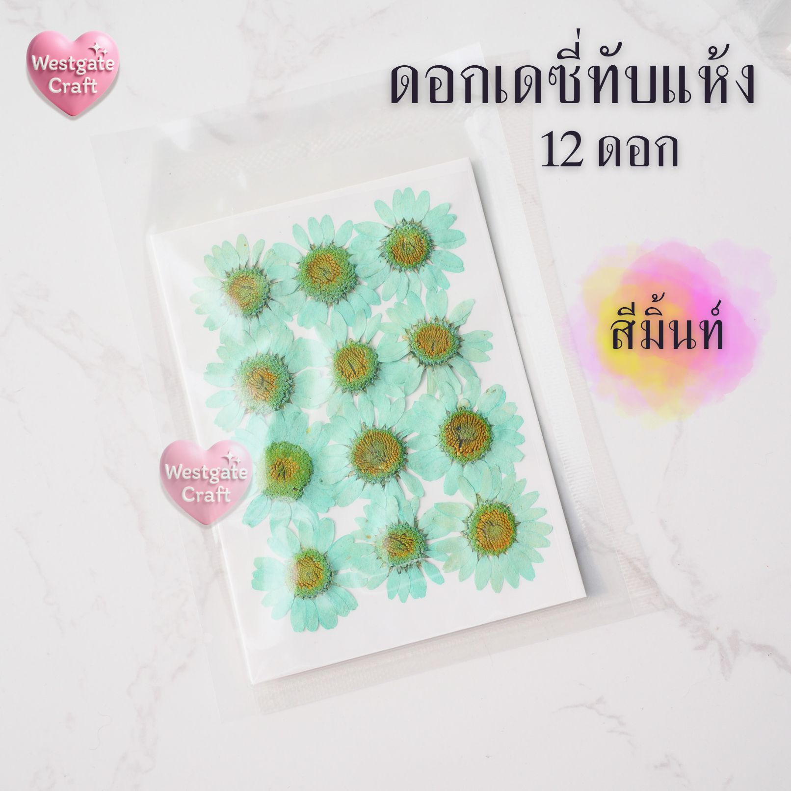 ดอกเดซี่แห้งทับ 12 ดอก ดอกไม้แห้งทับ คละขนาด