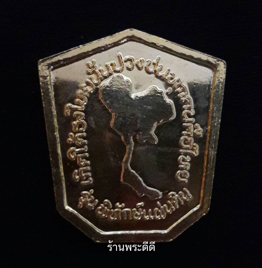 เหรียญหลวงพ่อทวดเหยียบน้ำทะเลจืด รุ่นพิทักษ์แผ่นดิน พุทธาภิเษก ๑๒ พฤศจิกายน ๒๕๔๘ ณ วัดพะโคะ