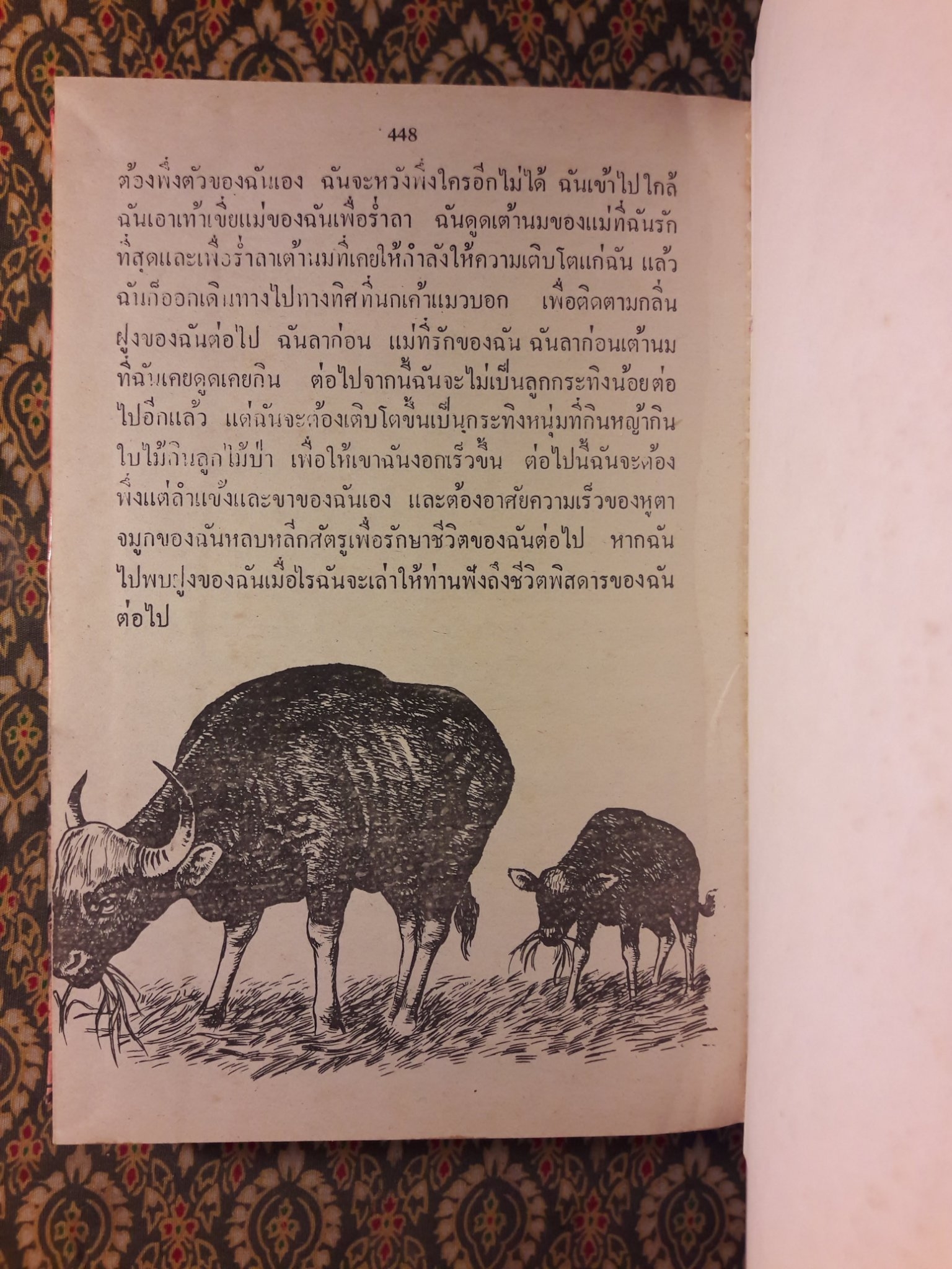 ชีวิตของฉันลูกกระทิง “หนังสือดี 100 ชื่อเรื่อง ที่เด็กและเยาวชนไทยควรอ่าน”