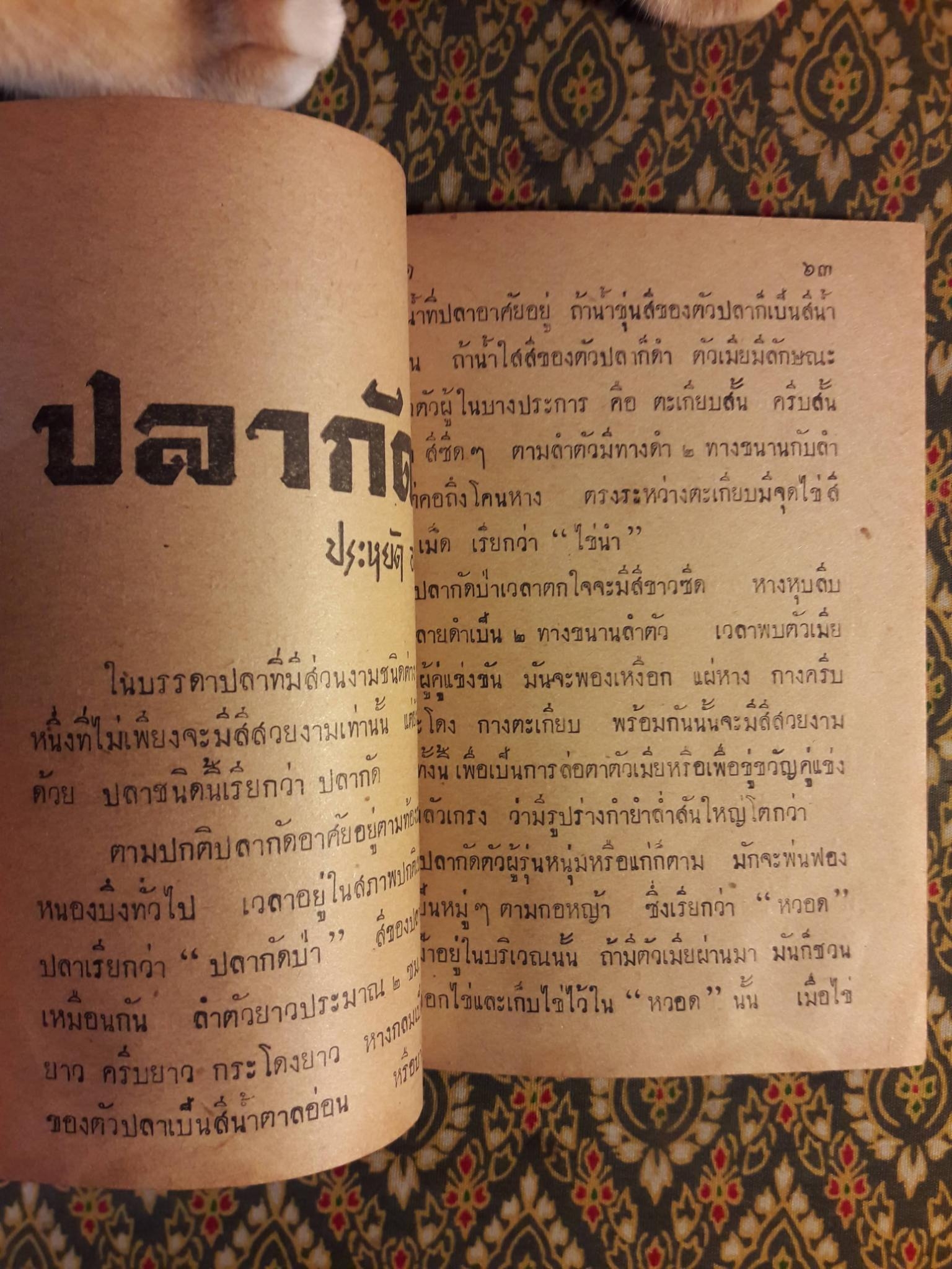 วิทยาศาสตร์มหัศจรรย์ ปีที่ 1 ฉบับที่ 6 พฤศจิกายน 2498