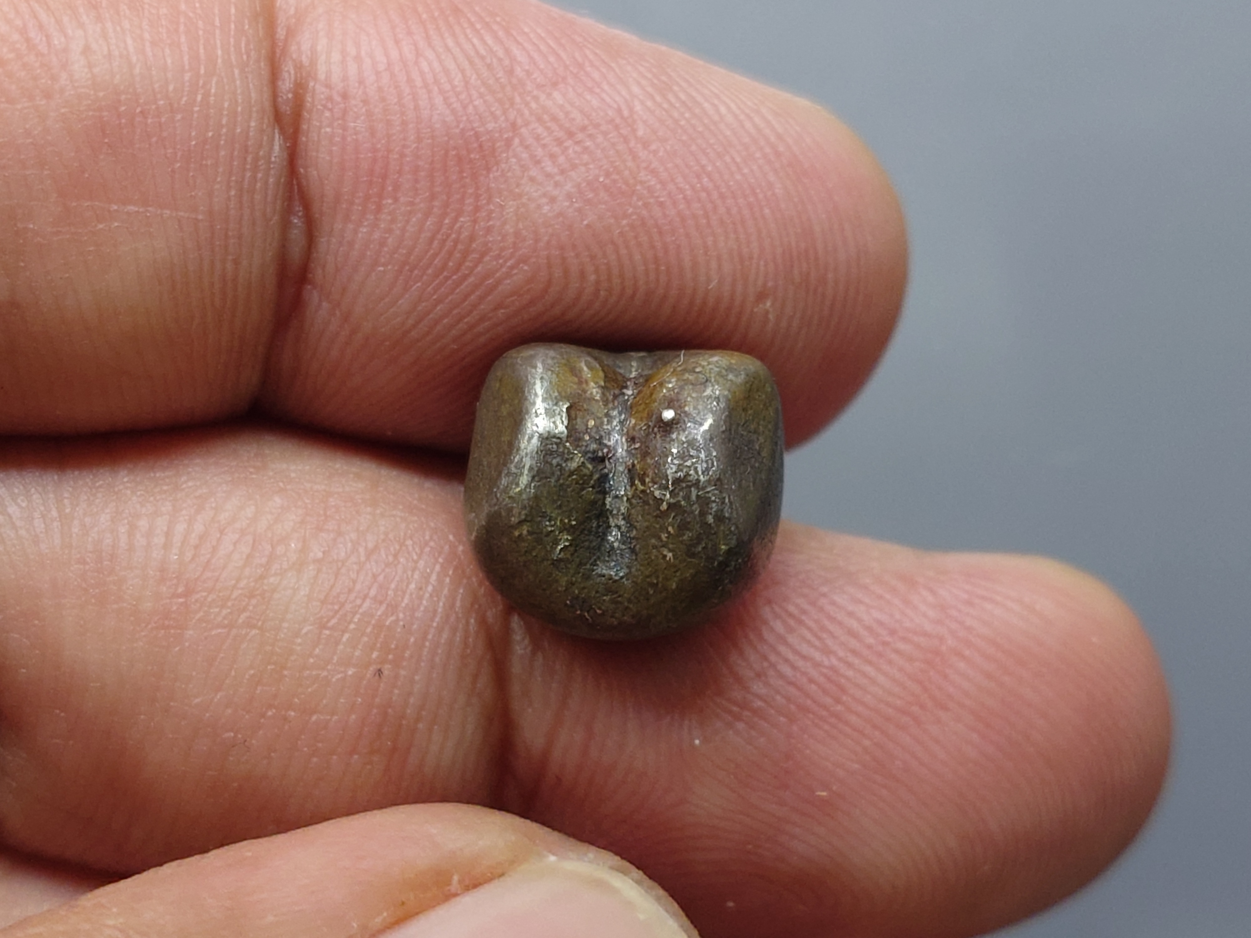 พดด้วง ขนาด สองสลึง ตรามงกุฎ-กงจักร (บล็อกทองคำ) รัชการที่4 ขนาดหายาก สภาพสวย ตราชัด