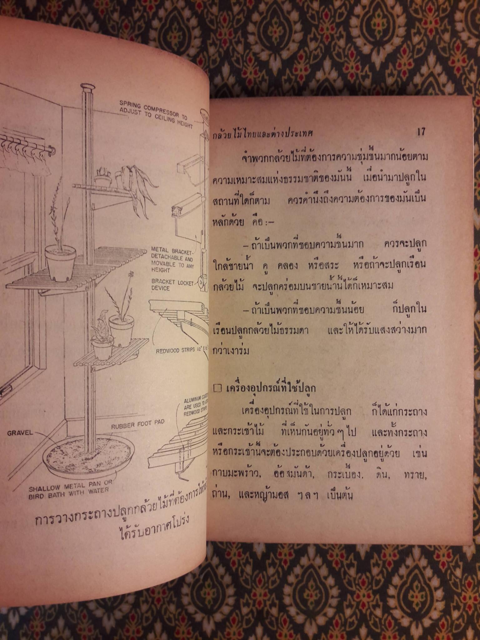 วิธีปลูกและผสมพันธ์กล้วยไม้ไทยและต่างประเทศ Orchids Growing