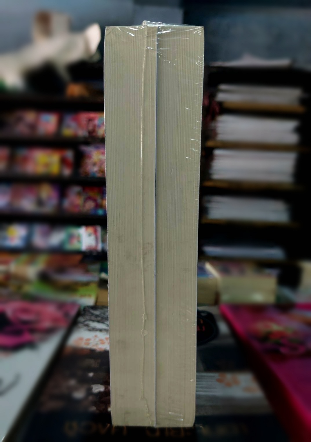 ดาวโจร (2 เล่มจบ)