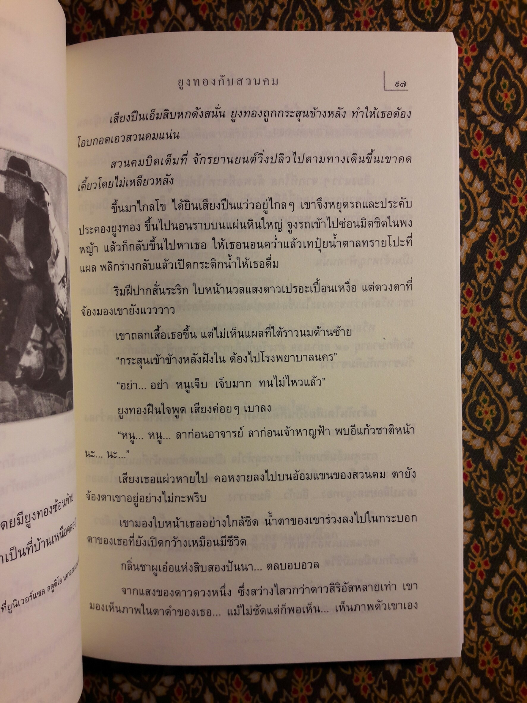 นางนวลสิบสองปันนา โลมาอิระวดี