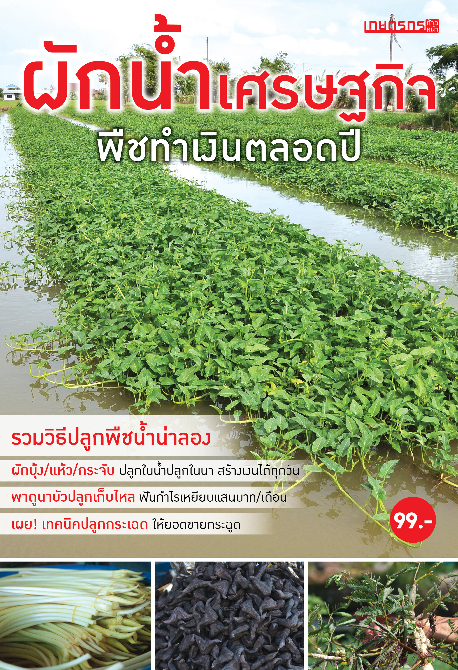 ผักน้ำเศรษฐกิจ