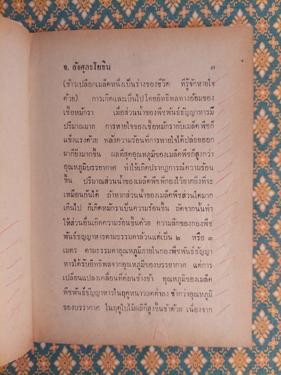 สารพัดปัญหาวิทยาศาสตร์
