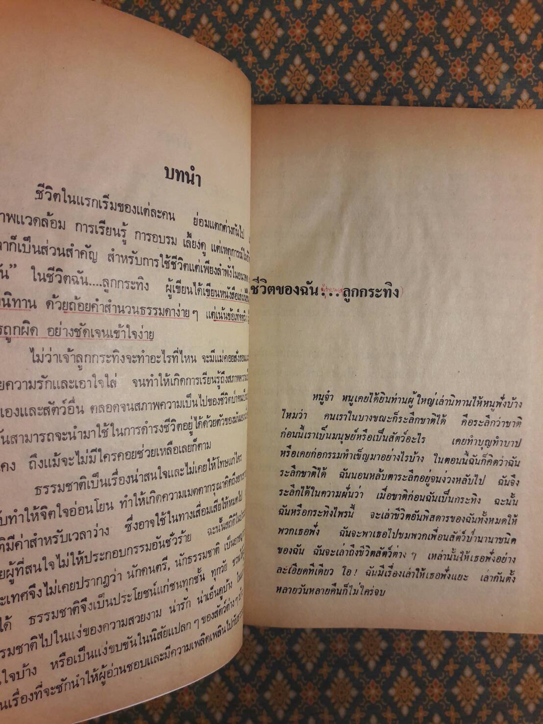 ชีวิตของฉันลูกกระทิง “หนังสือดี 100 ชื่อเรื่อง ที่เด็กและเยาวชนไทยควรอ่าน”