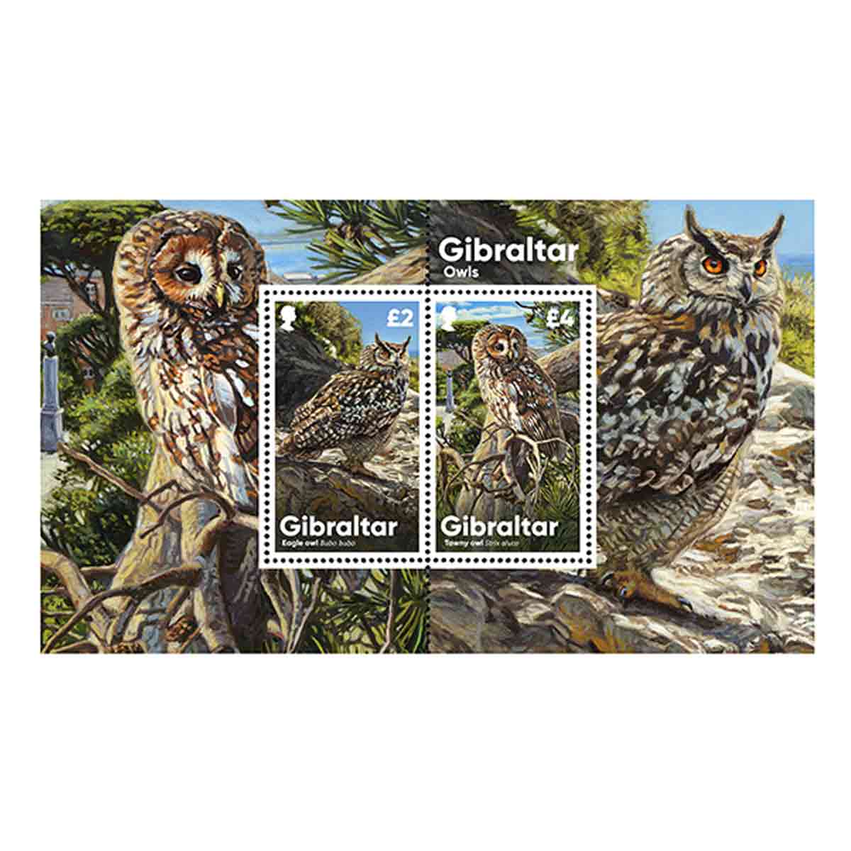 Gibraltar Stamp, 2020 Owls S/S ชีทแสตมป์นกฮูก จากประเทศยิบรอลตาร์