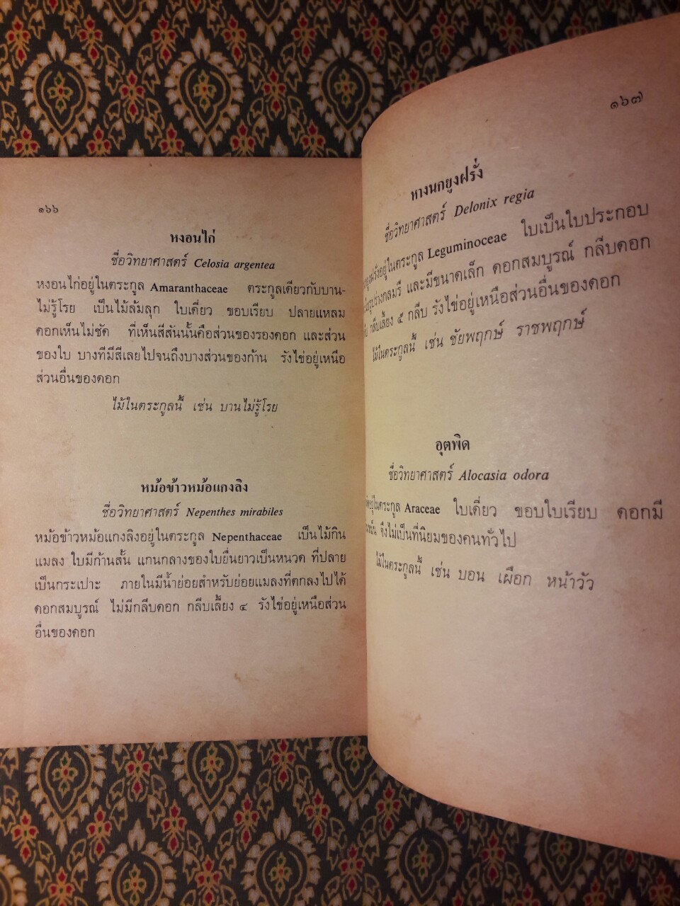 เมื่อดอกไม้บาน