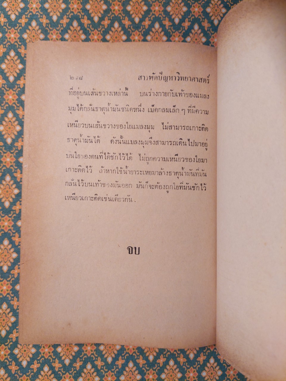 สารพัดปัญหาวิทยาศาสตร์