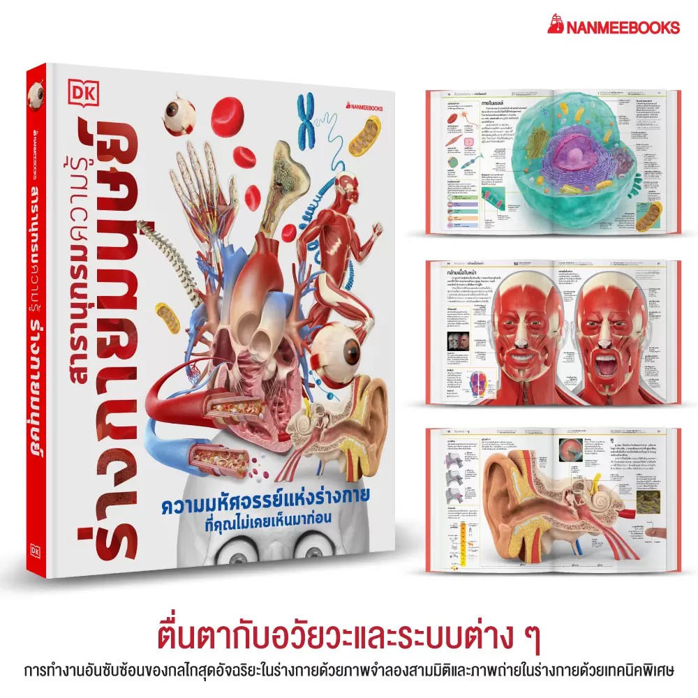 NANMEEBOOKS หนังสือ สารานุกรมความรู้ ร่างกายมนุษย์ : สารานุกรม วิทยาศาสตร์ DK Knowledge Encyclopedia HumanBody