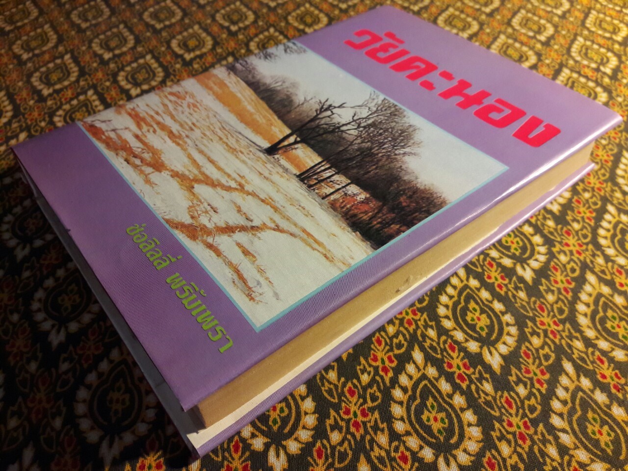 วัยคะนอง