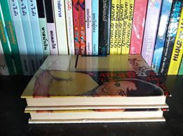 ชาตาชีวิต (2 เล่มจบ)