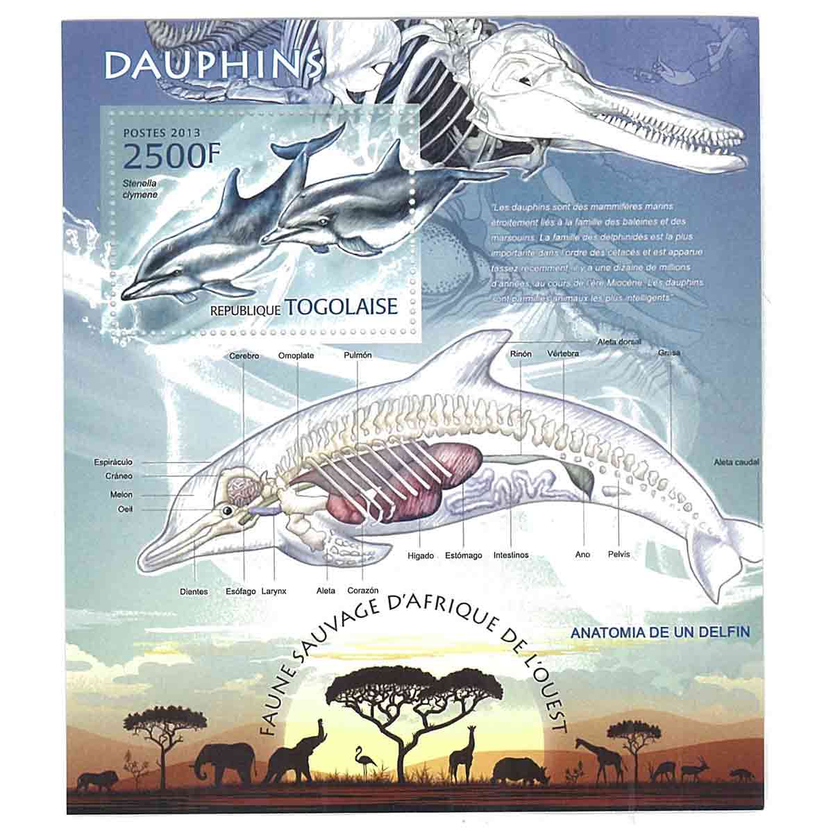 Togo Stamp, 2013 Dolphin, Marine Life, Animals S/S