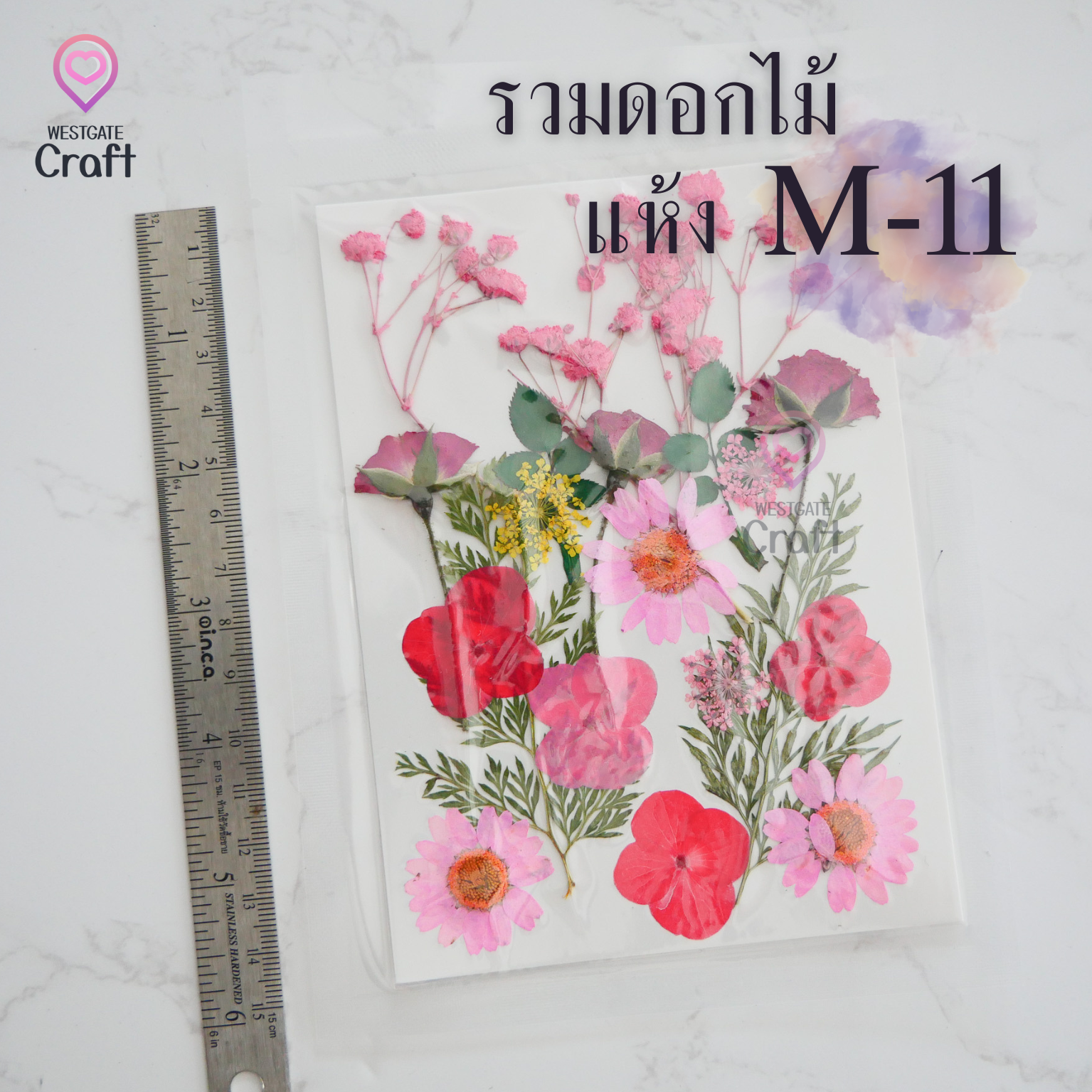 รวมดอกไม้แห้ง M ดอกไม้แห้งทับ ดอกไม้แบบคละ