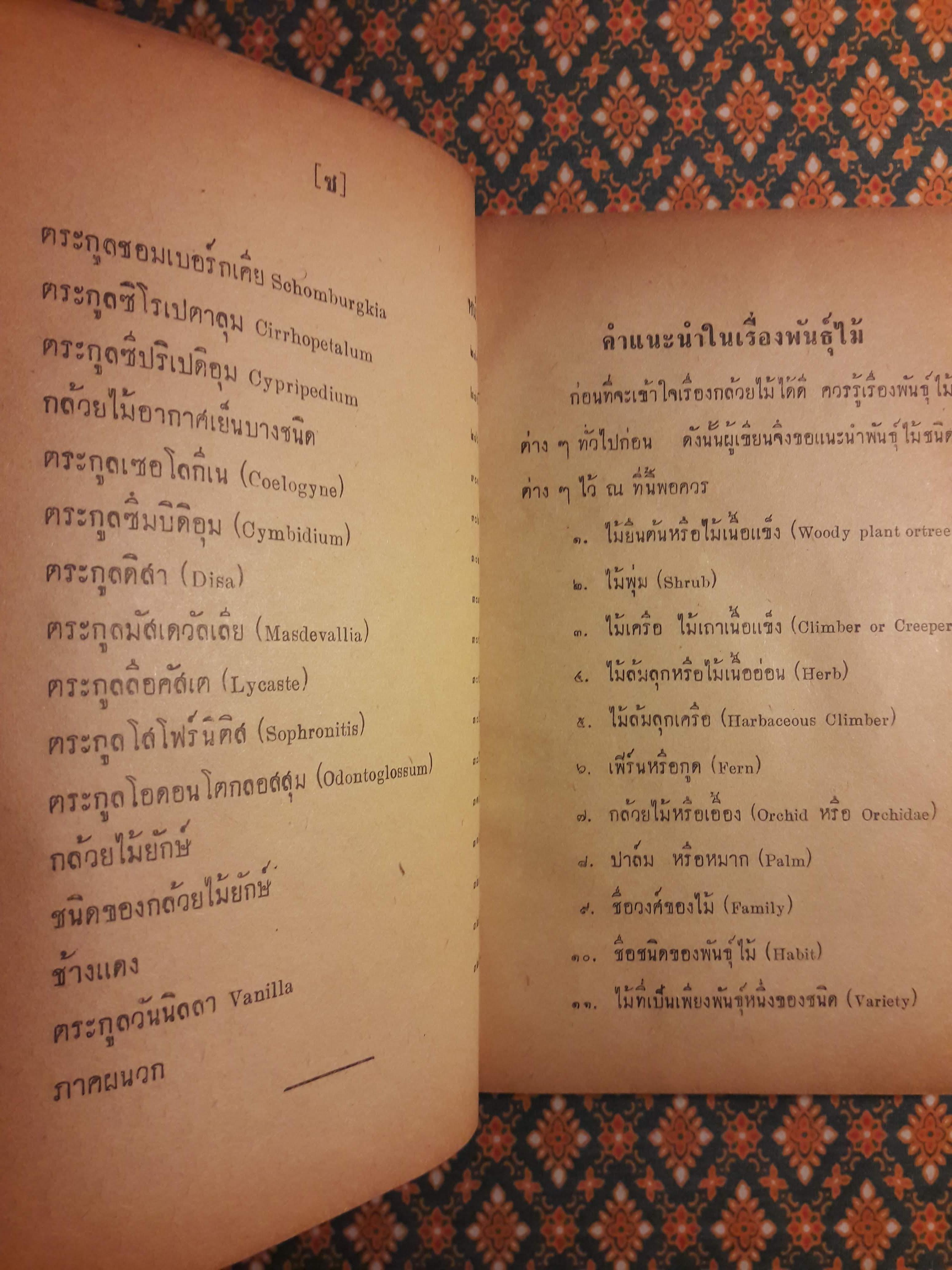 กล้วยไม้