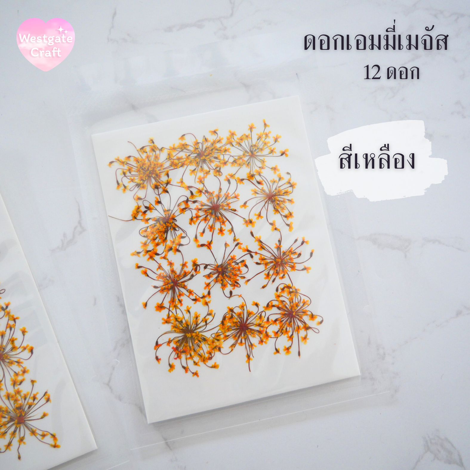 ดอกเอมมี่เมจัส 12 ดอก ดอกไม้แห้งทับ