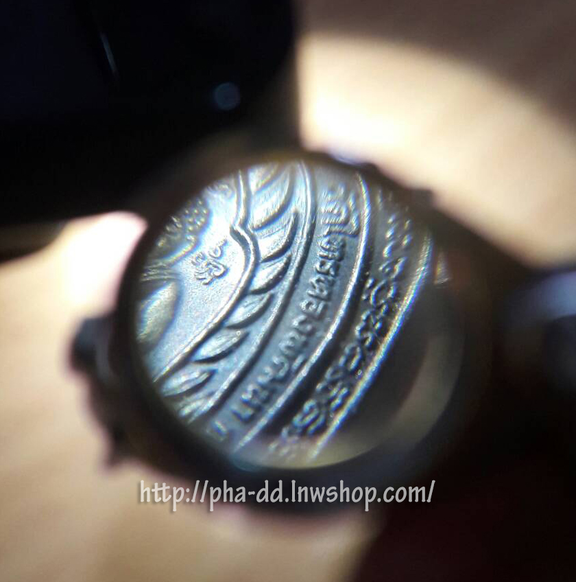 เหรียญพญาเต่าเรือน หลวงปู่หลิว รุ่นเจ้าสัว ปี 38 เนื้อนวโลหะ (พร้อมกล่องกำมะหยี)