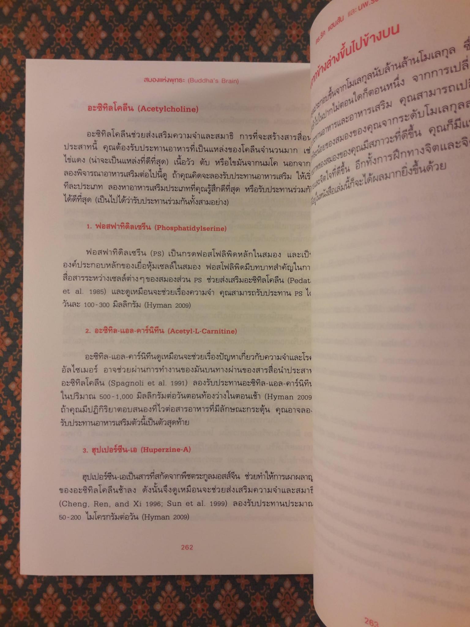สมองแห่งพุทธะ Buddha's Brain