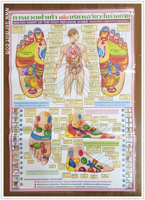 นวดฝ่าเท้าเพื่อบริหารอวัยวะภายใน (ชมพู)