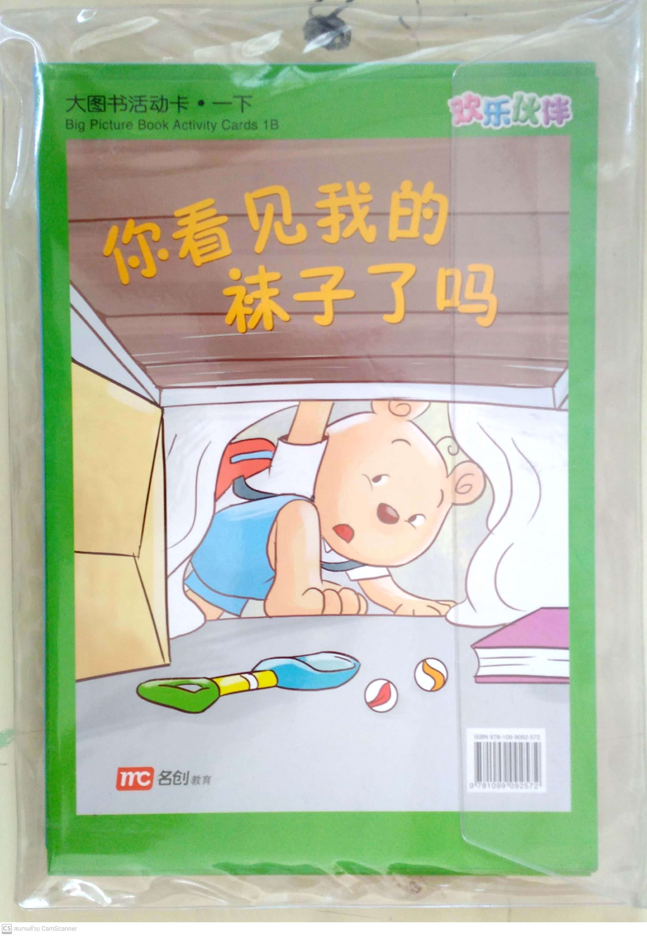 Flash Cards Chinese/Higher Chinese Primary HLHB BIG PIC BK AC P1B