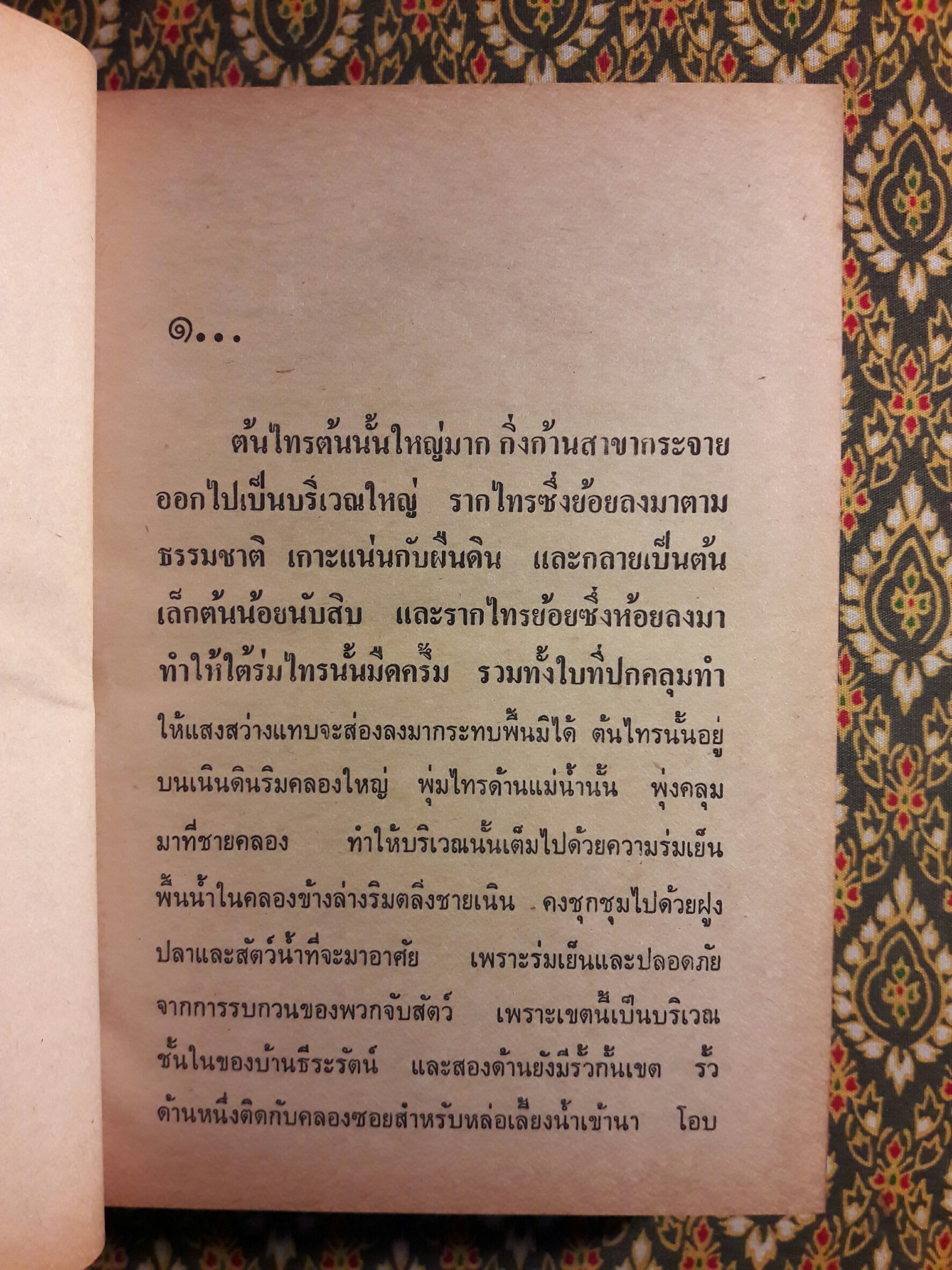 ไทรโศก (2 เล่มจบ)