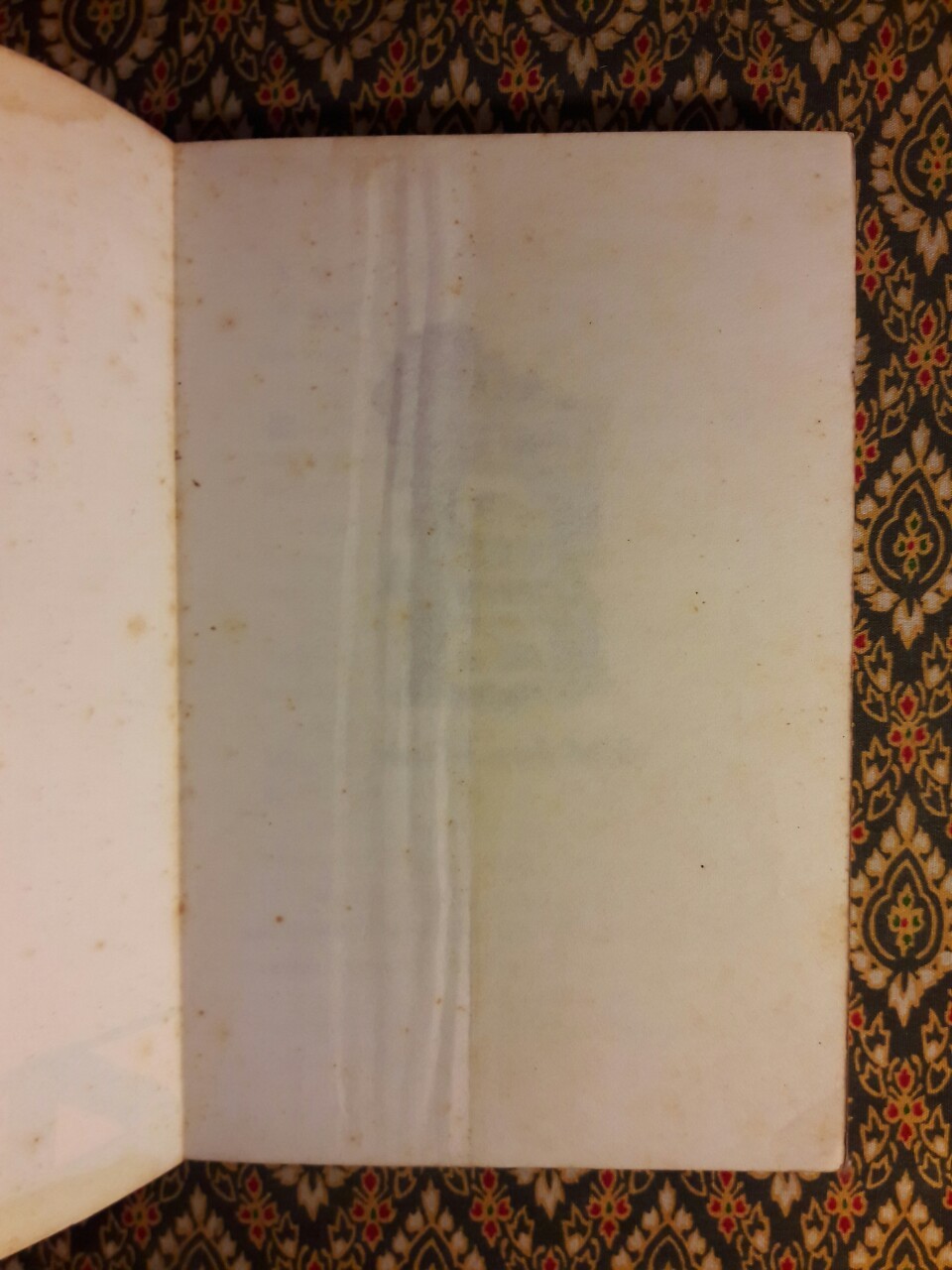 ฟองเบียร์