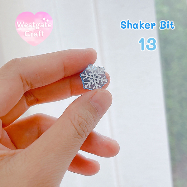 แม่พิมพ์เรซิ่น Shaker Bit 13
