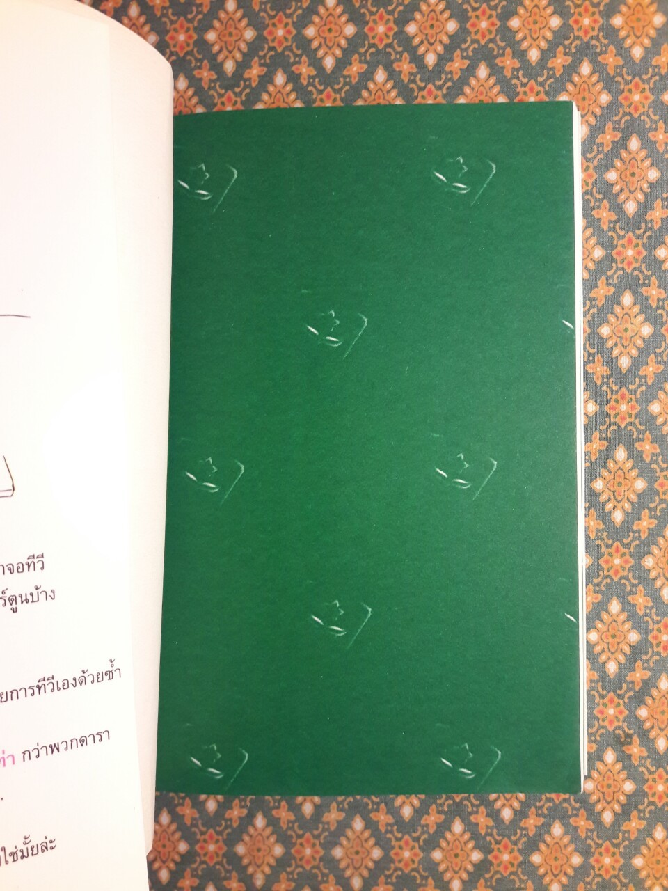 เลนนี่ เด็กหน้าจอ The TV Kid